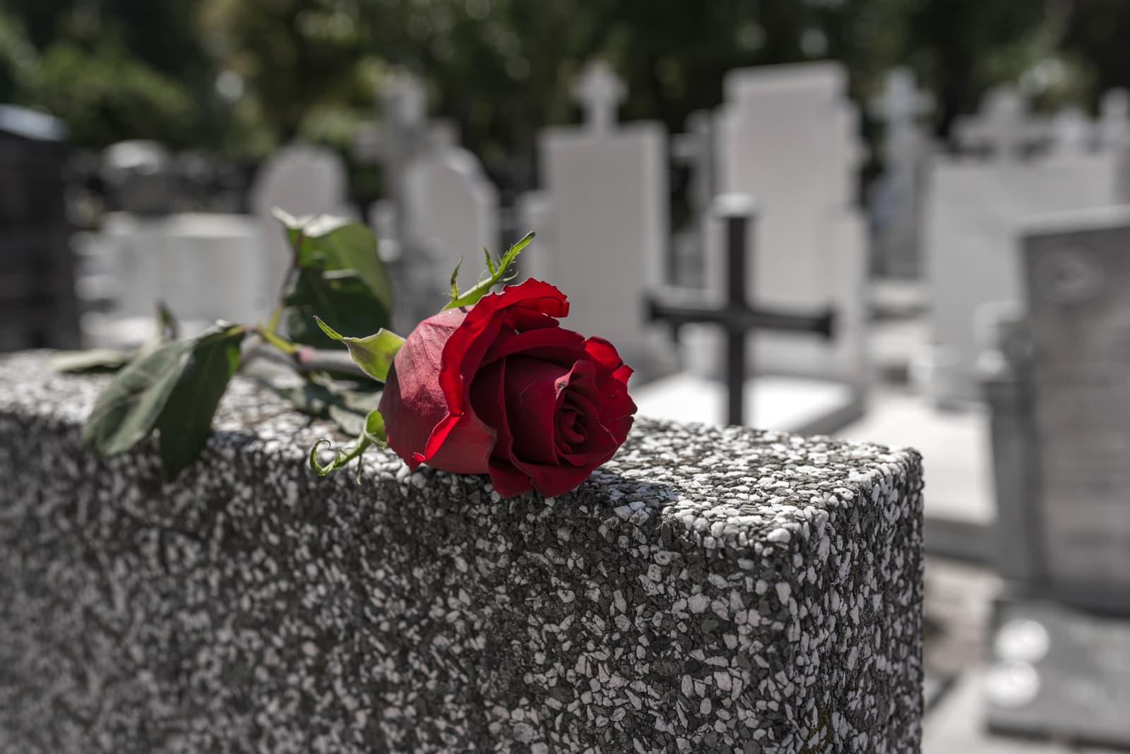 funeraria-elmueble-experiencia-profesionalidad-funeraria funeraria-elmueble-experiencia-profesionalidad-funeraria